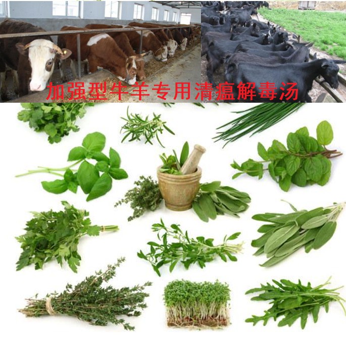 加強(qiáng)型牛羊?qū)Ｓ们逦两舛緶?6味原生中草藥公開組方，牛羊養(yǎng)殖場常備無憂